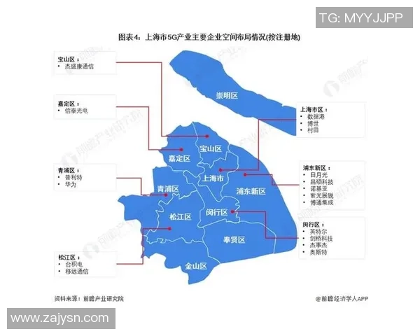 上海篮球队实力解析与发展前景探讨全面分析球队现状与未来挑战