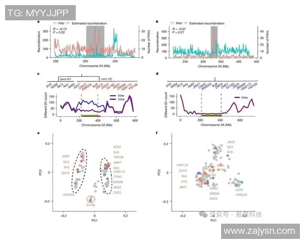 广州攀岩队节奏表现数据分析揭示训练效果与比赛成绩的关系